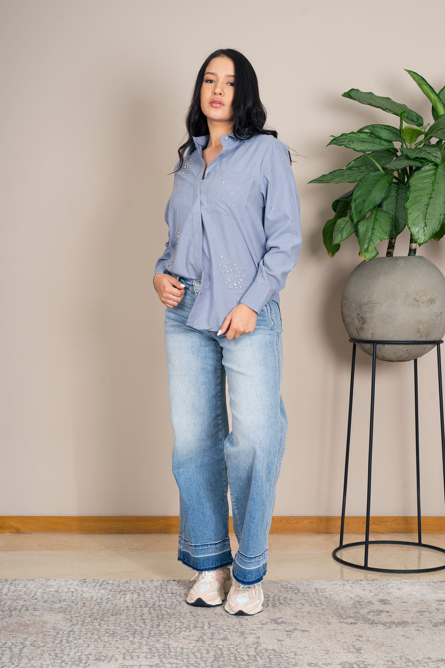 Camisa Manga Larga Brillantes