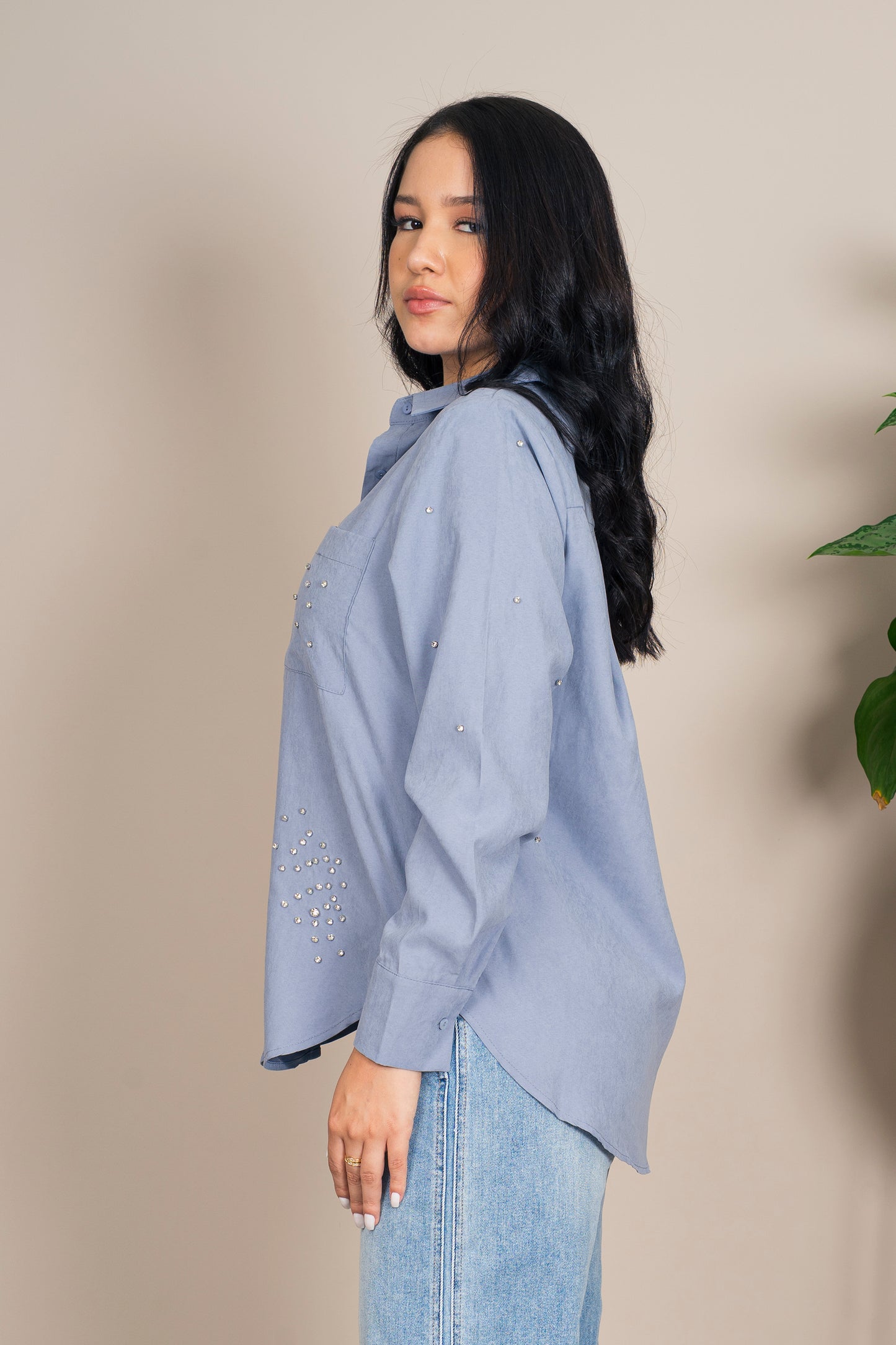 Camisa Manga Larga Brillantes